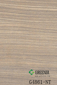 G4861-NT 200X300.jpg