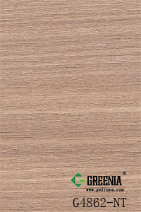 大地紅豆杉 G4862-NT 大地紅豆杉 G4862-NT